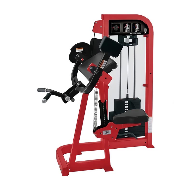 حدد آلة تجعيد العضلة ذات الرأسين